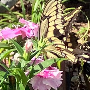 SALE:  Bundle Savings!!!